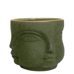 Miljgrden - Pot Greenish Ansiktskruka 15 cm