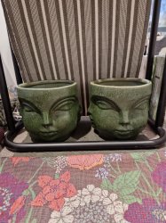 Miljgrden - Pot Greenish Ansiktskruka 15 cm
