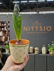 Nittsj Keramik - Blomkruka B2 Grn Prick 10 cm