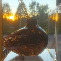 Vas Vitreum - Blomripan Vas Svart
