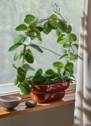 Pid�t Kukka Blomkruka med djupt fat Brick/Tegelr�d 30,5 cm