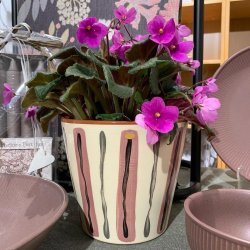 Nittsj Keramik - Blomkruka Sommar Rosa Lars Nilsson IV rstider