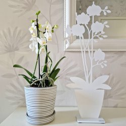 Lonneberg - Orkid Fnsterprydnad Vit Stl 50 cm