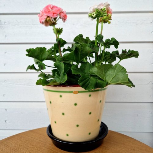 Nittsj Keramik - Blomkruka B4 Grn Prick 16 cm