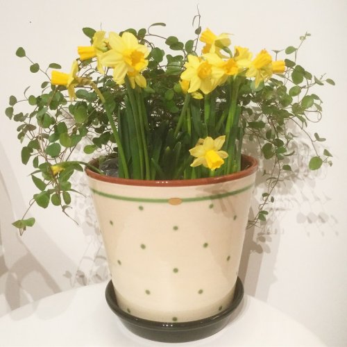 Nittsj Keramik - Blomkruka B4 Grn Prick 16 cm
