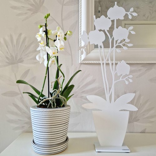 Lonneberg - Orkid Fnsterprydnad Vit Stl 50 cm