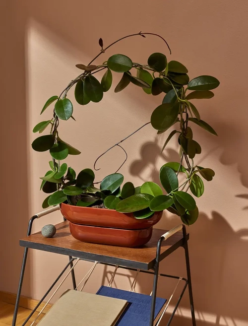 Pid�t Kukka Blomkruka med djupt fat Brick/Tegelr�d 30,5 cm