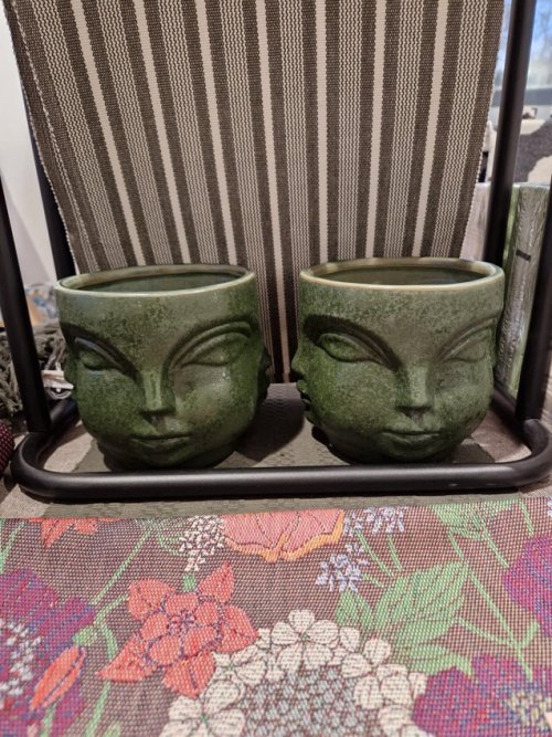 Miljgrden - Pot Greenish Ansiktskruka 15 cm