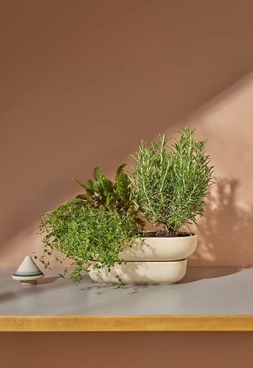 Pid�t Kukka Blomkruka med djupt fat Sand 30,5 cm