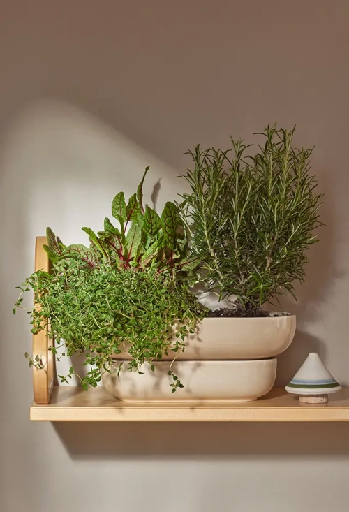 Pid�t Kukka Blomkruka med djupt fat Sand 30,5 cm